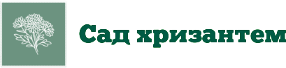 Сад хризантем